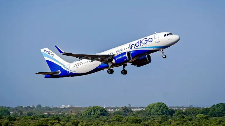 Indigo-Flight_V_jpg--1280x720-4g