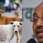 vijay_goel_on_stray_dogs_1755927509805_1755927513543