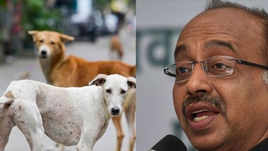 vijay_goel_on_stray_dogs_1755927509805_1755927513543